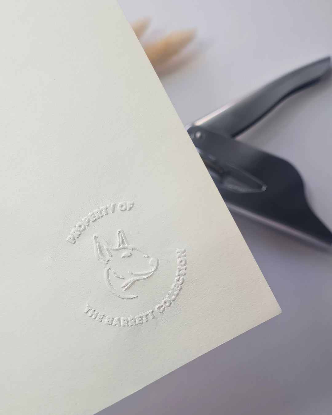 Personalised Library Embossing Stamp