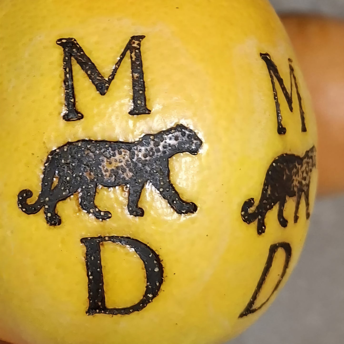 CUSTOM Branding Iron